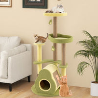 ARBRE À CHAT <br> "L'avocat"