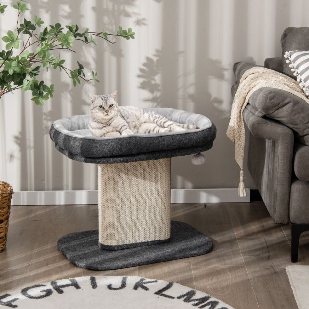 LIT CHAT EN SISAL