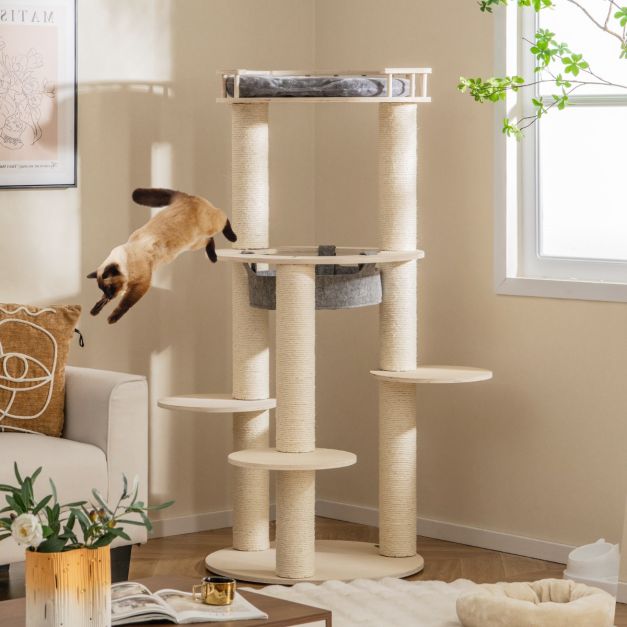 ARBRE À CHAT MAINE COON <br> "Le bienveillant"