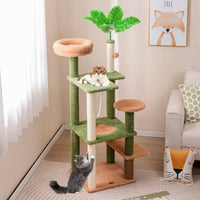 ARBRE À CHAT <br> "Le palmier"