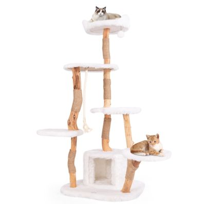 ARBRE À CHAT EN BOIS FLOTTÉ <br> "Le géant"