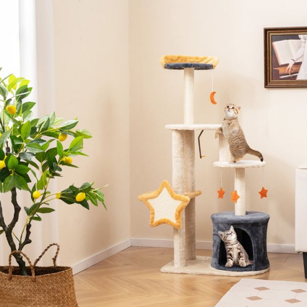 ARBRE À CHAT <br> "L'illuminé"