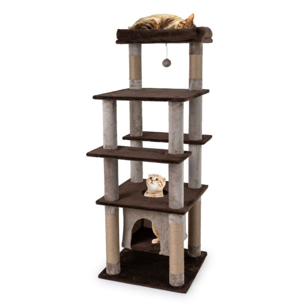 ARBRE A CHAT MARRON