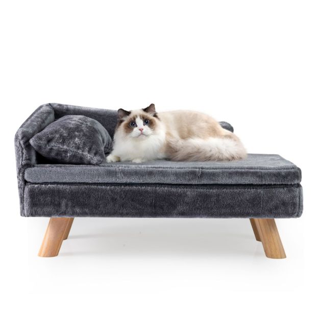 CANAPÉ CHAT