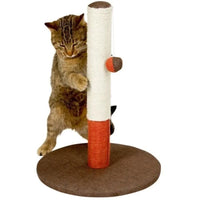 GRIFFOIRS CHAT POTEAU
